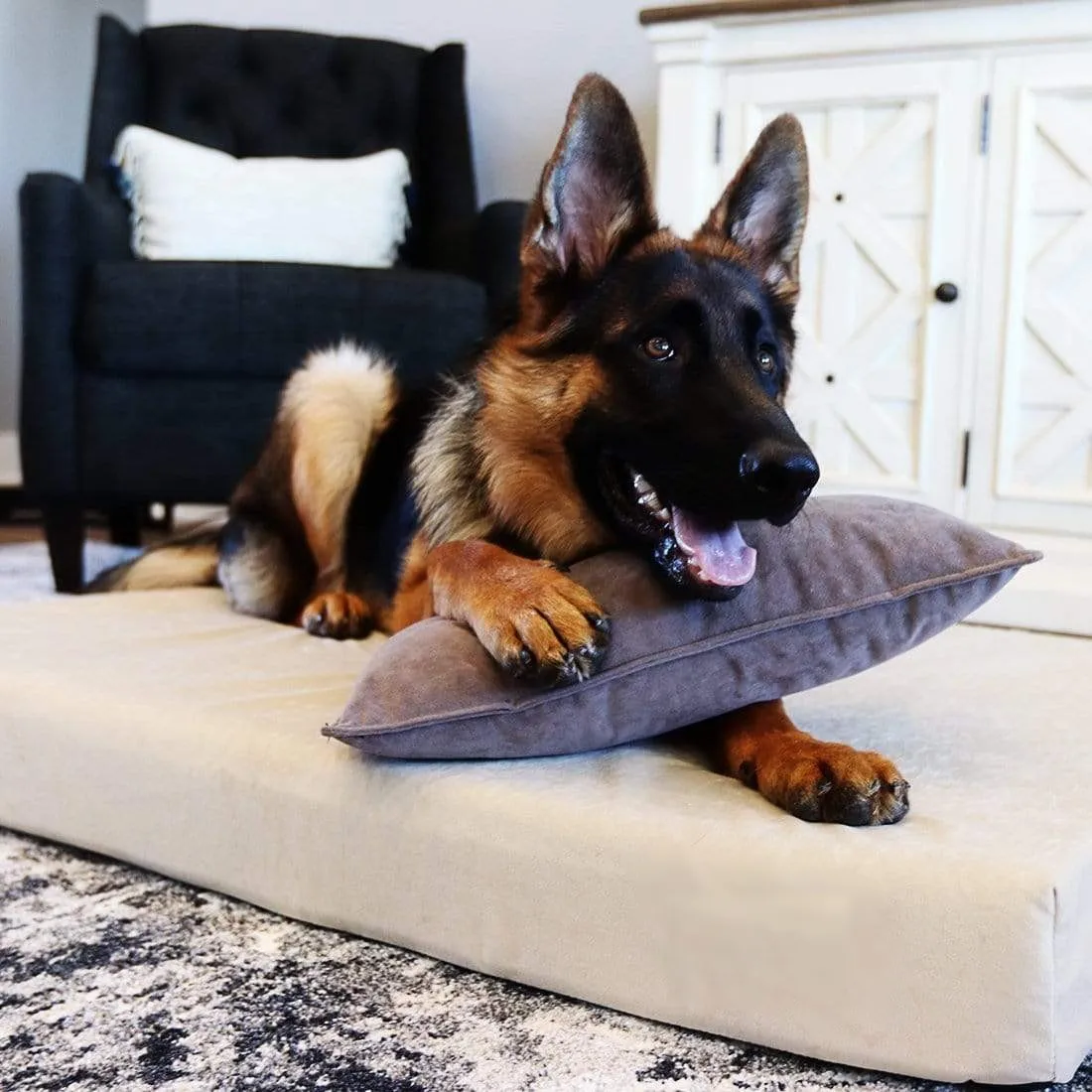 Deluxe Memory Foam Dog Bed