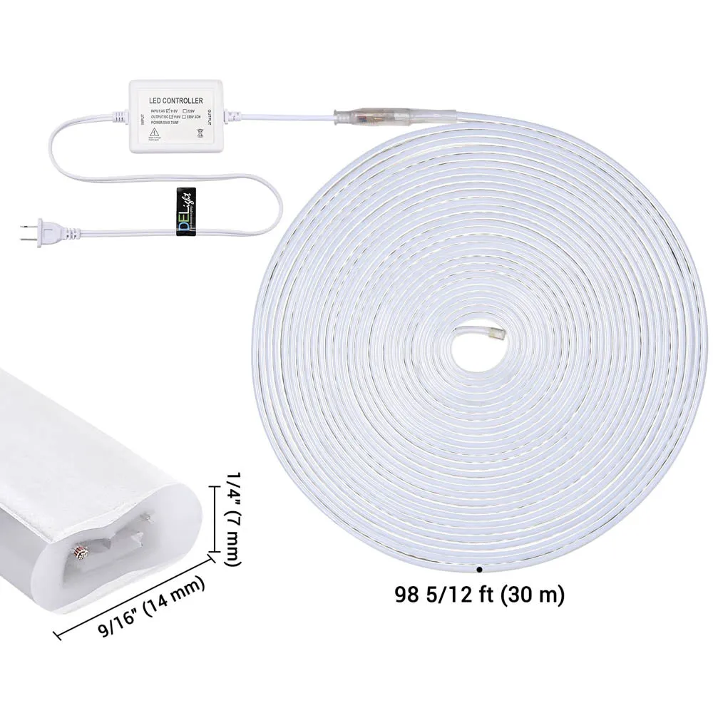 Flexible Warm White Neon Rope Light 100' RF Remote