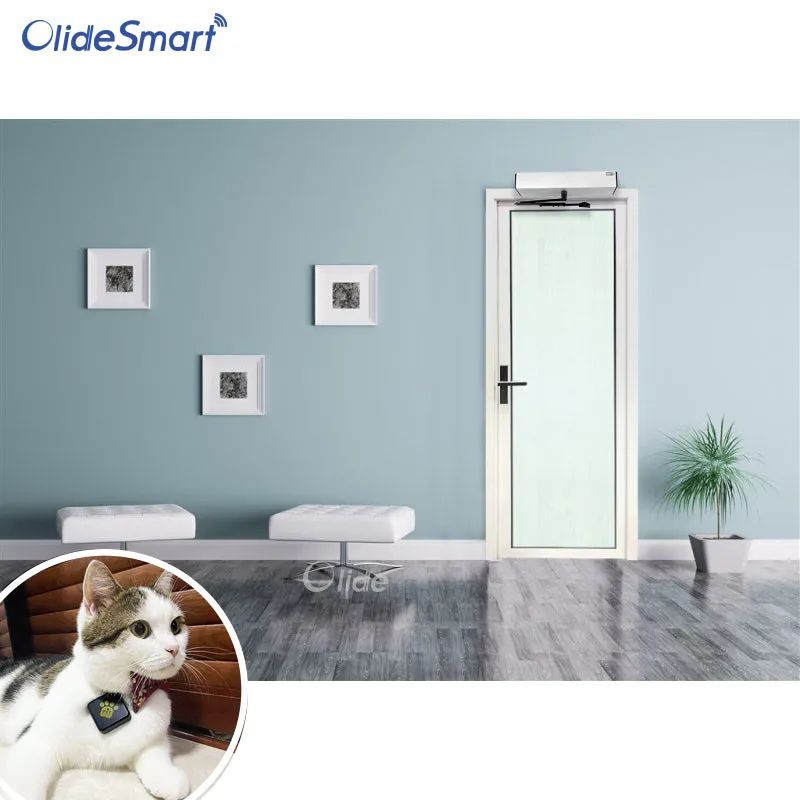 Olide-504W/M701W Smart Pet Collar Sensor and Receiver for Automatic Door System