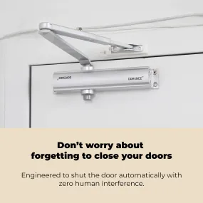 Sexy and Slick Automatic Adjustable Spring Hydraulic Auto Door Closer For Residential