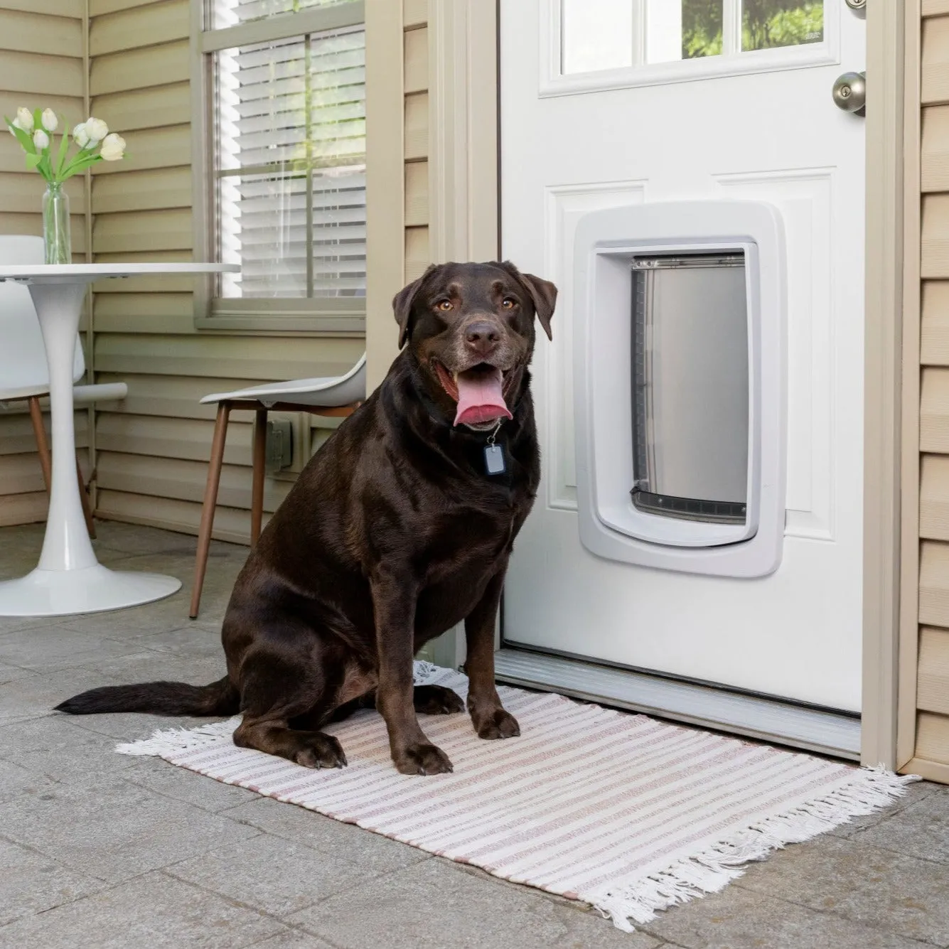 SmartDoor Connected Pet Door