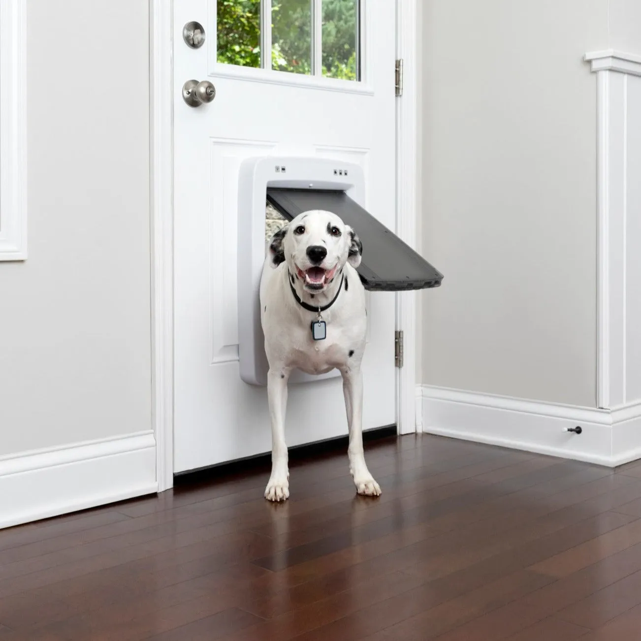 SmartDoor Connected Pet Door