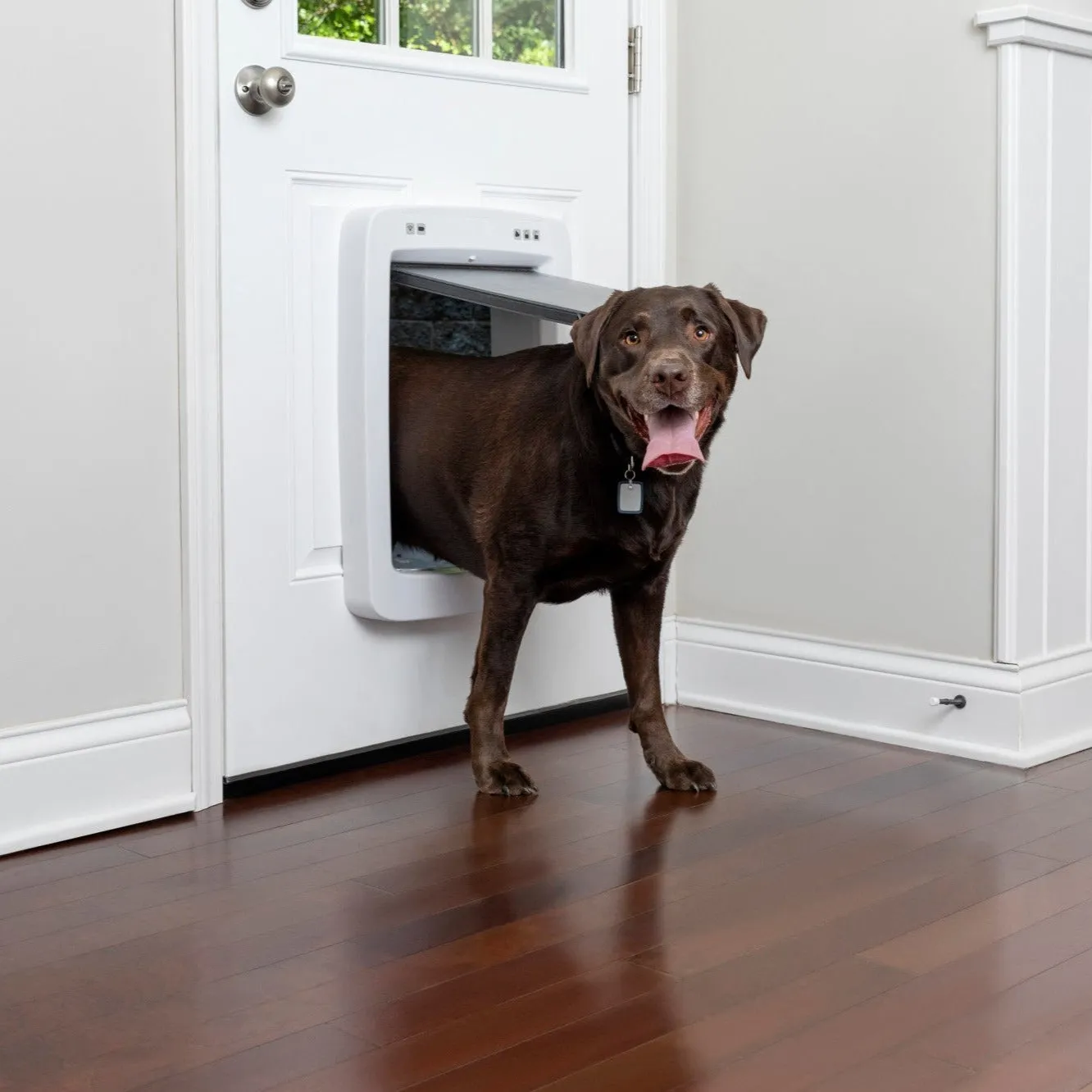 SmartDoor Connected Pet Door