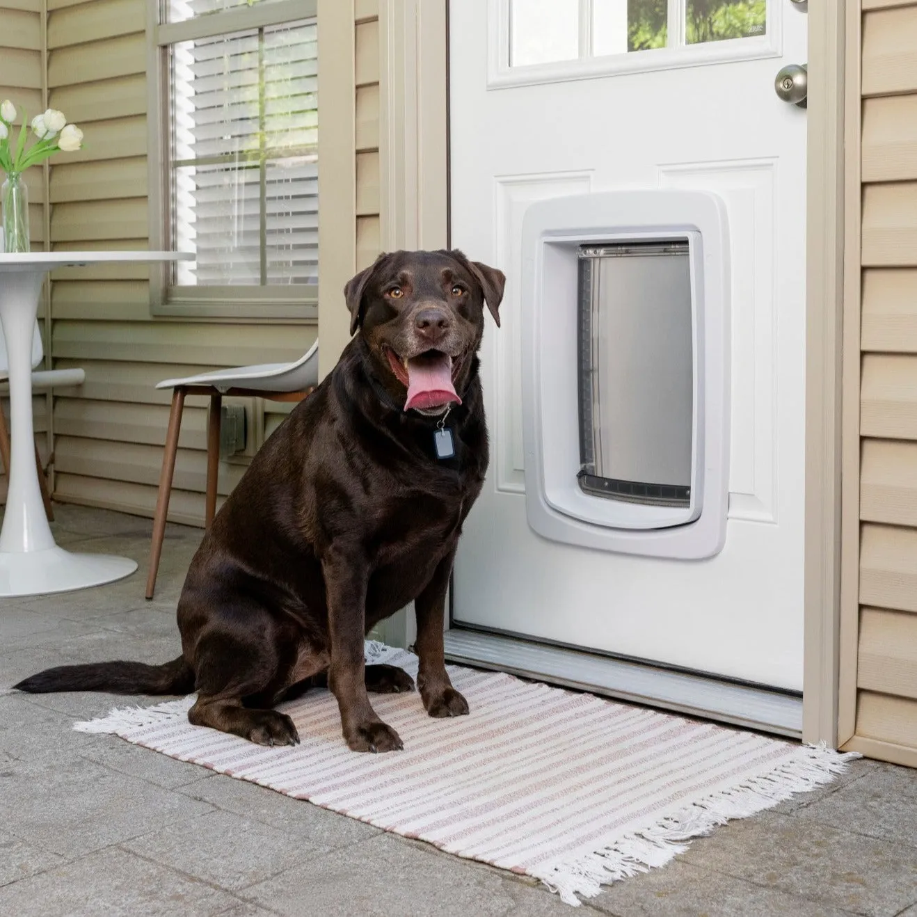 SmartDoor Connected Pet Door