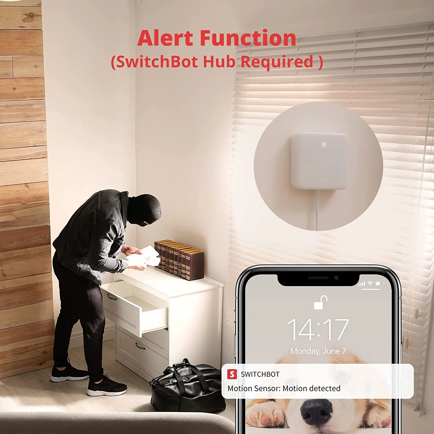 SwitchBot Motion Sensor | Wireless, PIR Motion Detector Alert, Add SwitchBot Hub Mini to Make it Compatible with Alexa